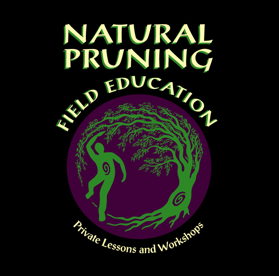 Natural Pruning